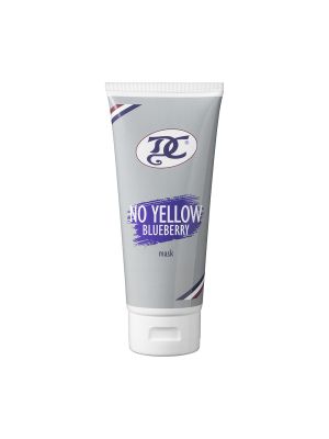 DC-No-Yellow-Blueberry-Mask-Haarmasker-200ml